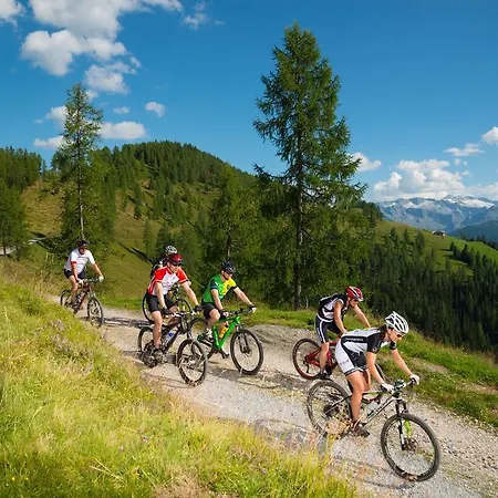 Appartementhaus Alpenpark Grossarl