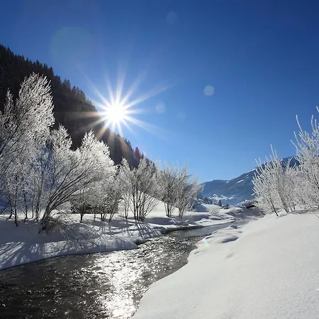 Apartament Appartementhaus Alpenpark